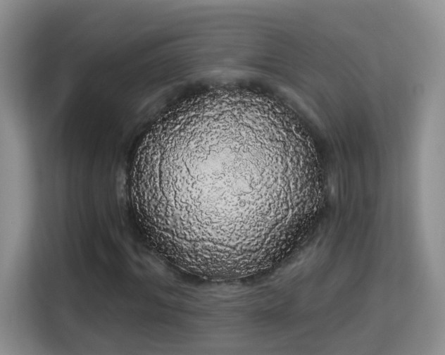 X0000113980964200910091315