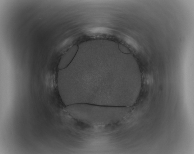 X0000113980965200910091315