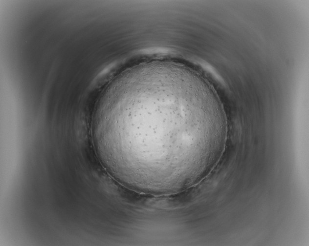 X0000113980967200910091314