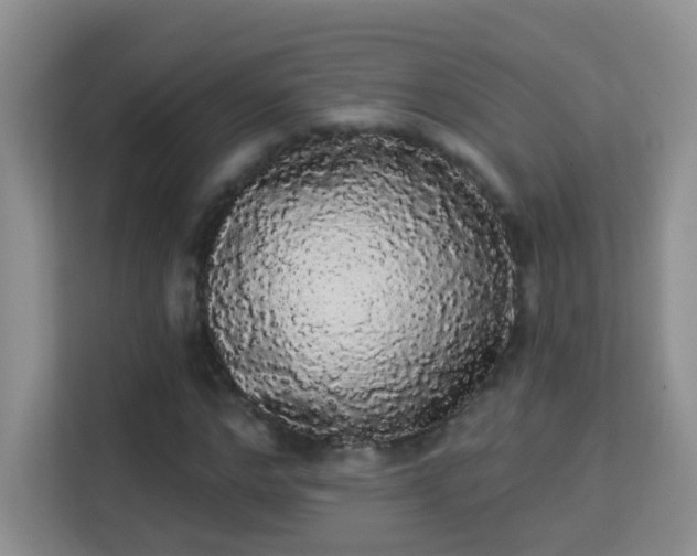 X0000113980968200910091314