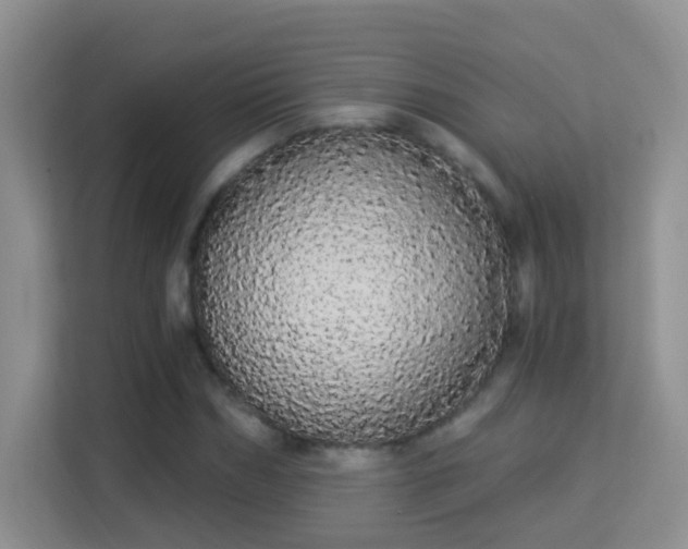 X0000113980970200910091314