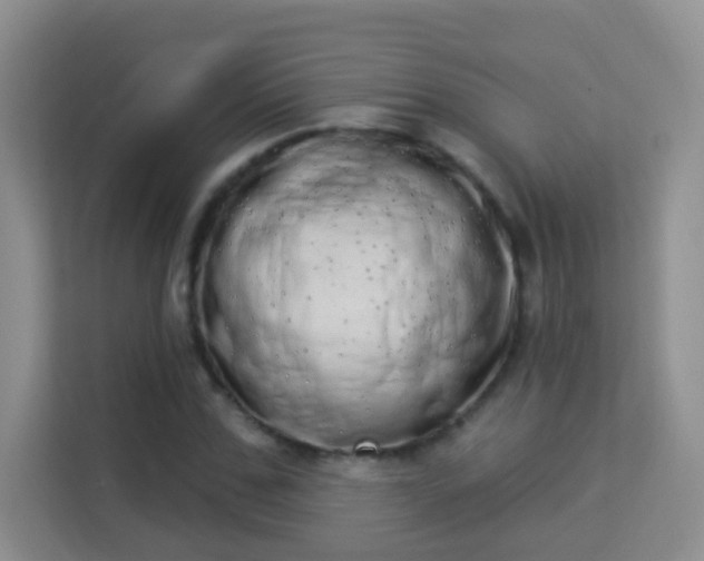 X0000113980971200910091314