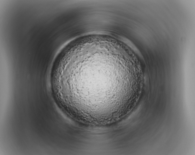 X0000113980972200910091314