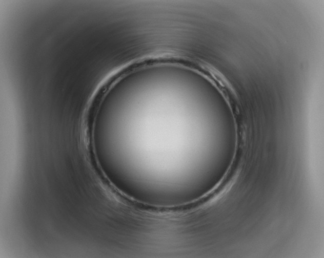 X0000113980973200910091314