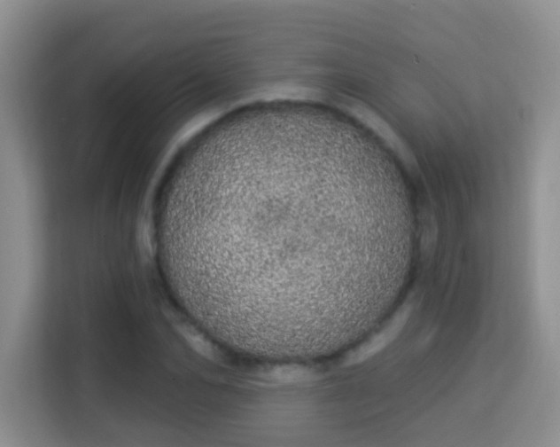 X0000113980974200910091314