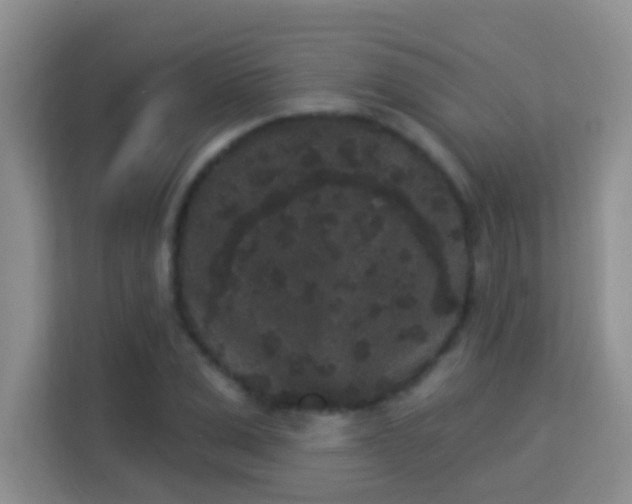 X0000113980975200910091314