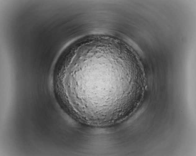 X0000113980976200910091314