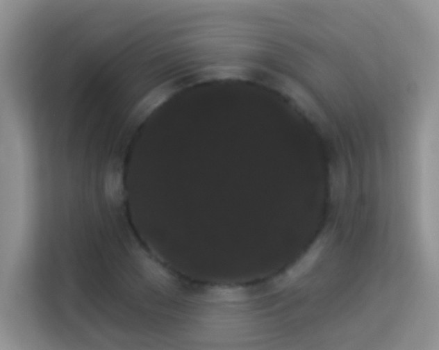 X0000113980977200910091314