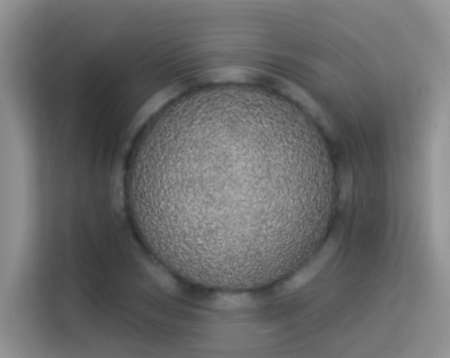 X0000113980978200910091314