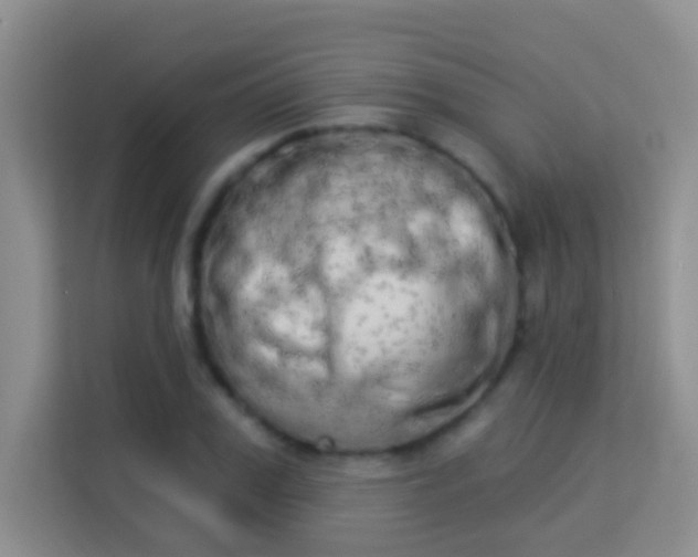 X0000113980979200910091314