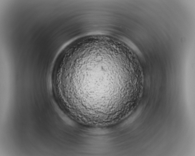 X0000113980980200910091314