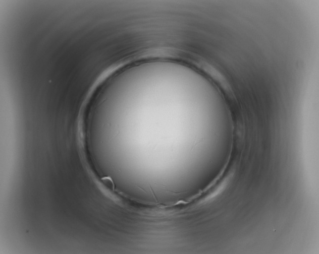 X0000113980981200910091314