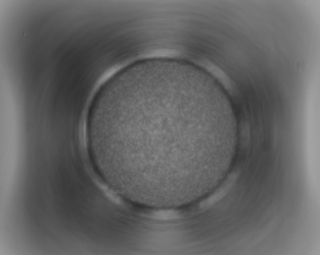 X0000113980982200910091314