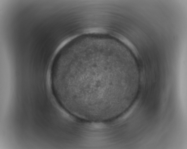 X0000113980983200910091314