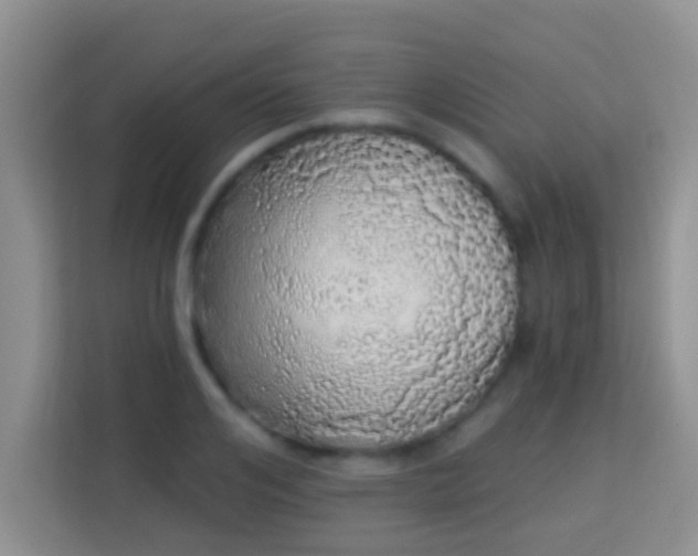 X0000113980984200910091314