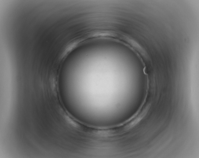 X0000113980985200910091314