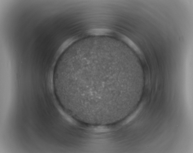 X0000113980986200910091314