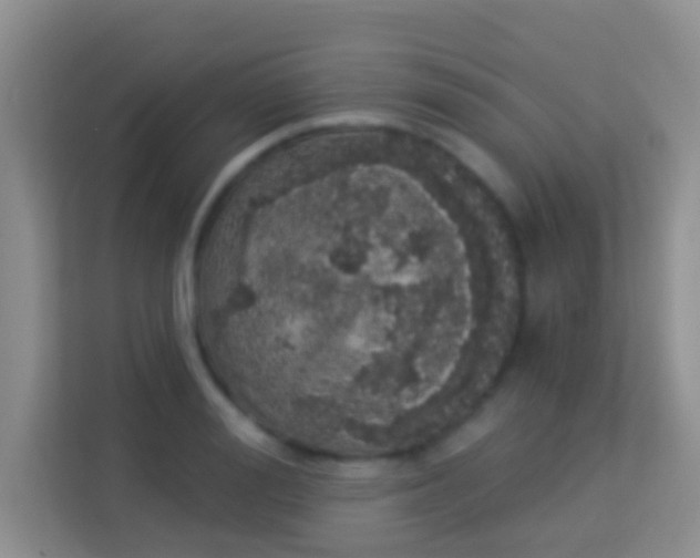 X0000113980988200910091314