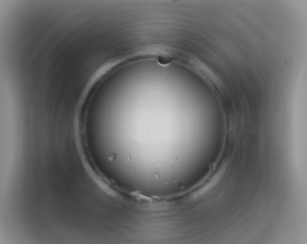 X0000113980989200910091314