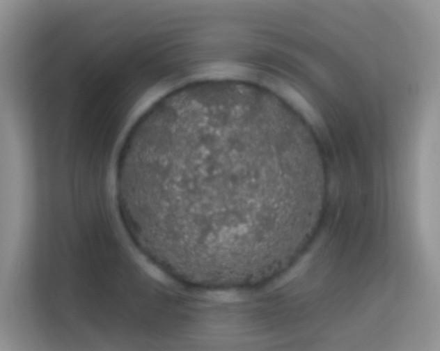 X0000113980990200910091314