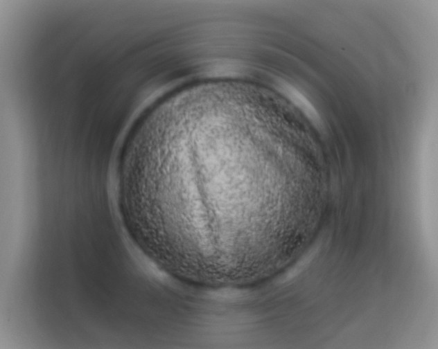 X0000113980992200910091314