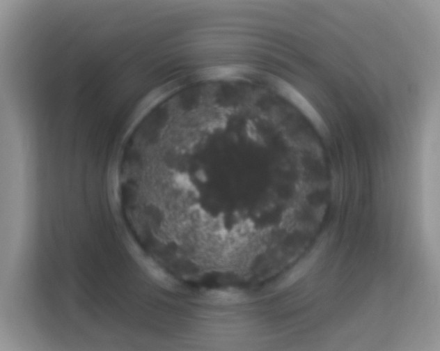 X0000113980994200910091314