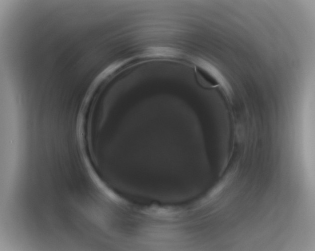 X0000113980995200910091314