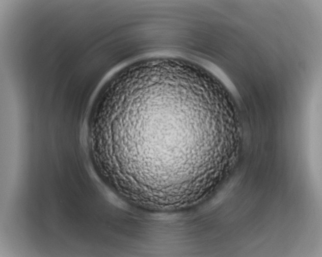 X0000113980996200910091314