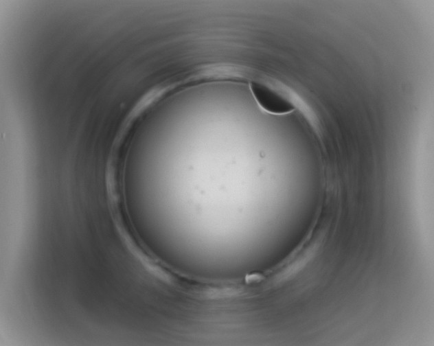 X0000113980997200910091314