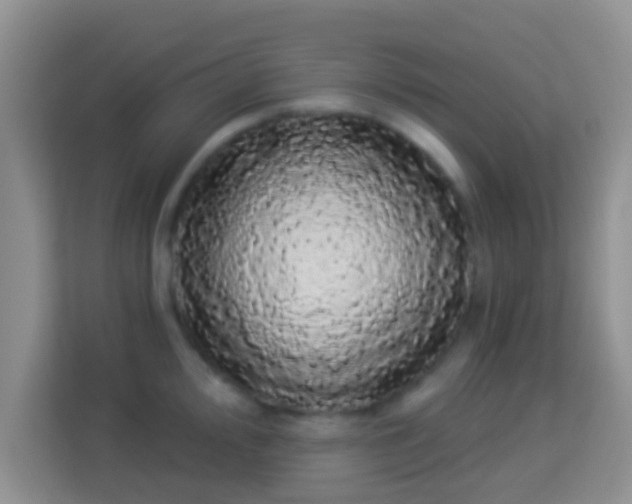 X0000113981000200910091314