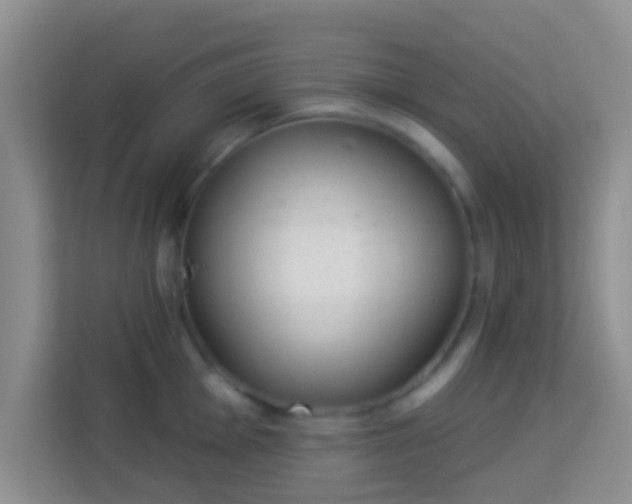 X0000113981001200910091314