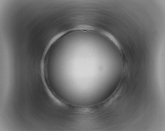 X0000113981003200910091314