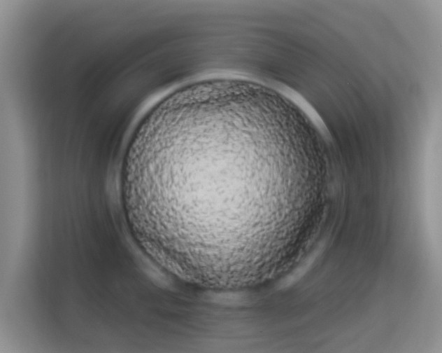 X0000113981004200910091314