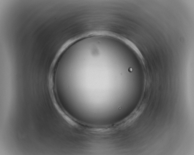 X0000113981005200910091314