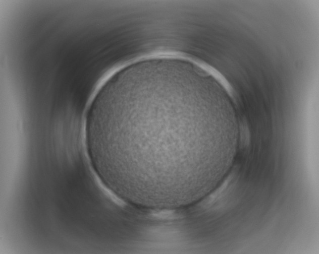 X0000113981006200910091314