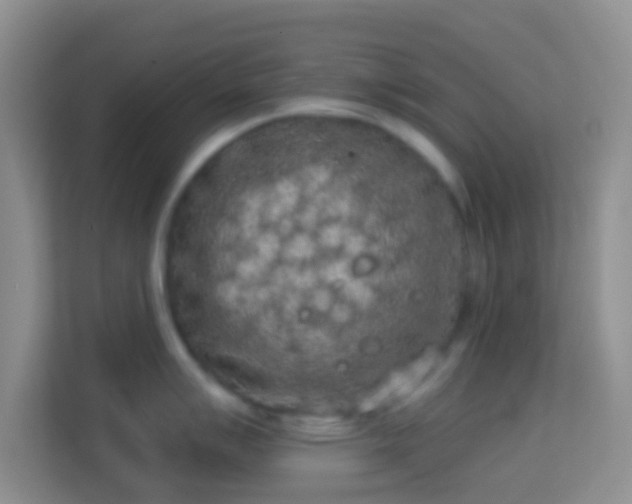 X0000113981007200910091314