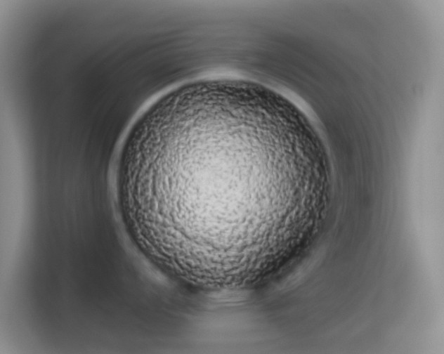 X0000113981008200910091314