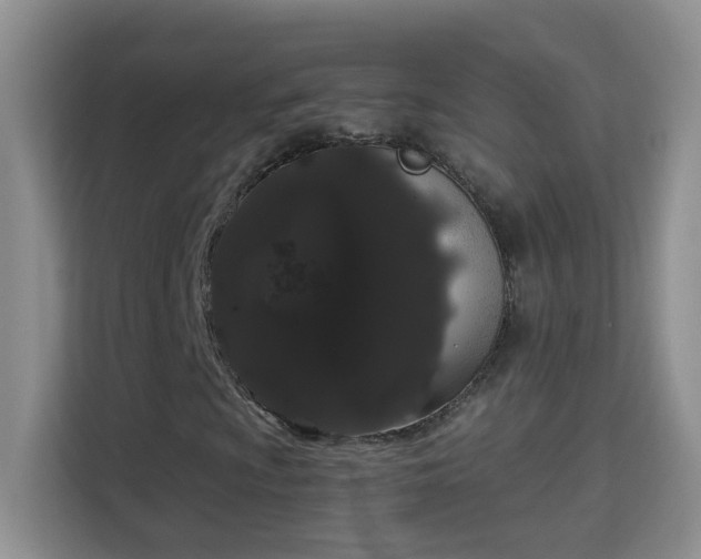 X0000113981009200910091313