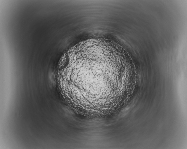 X0000113981010200910091313