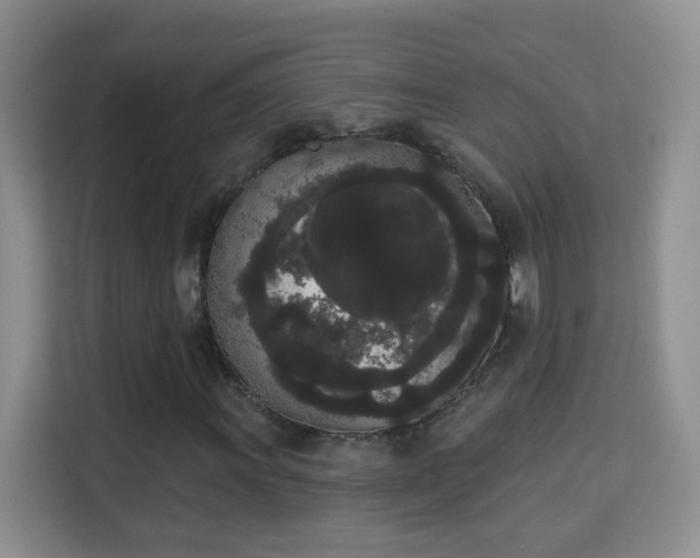 X0000113981011200910091313