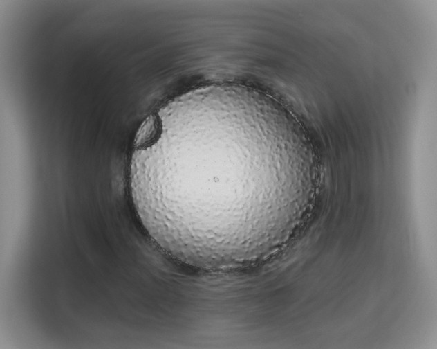 X0000113981012200910091313