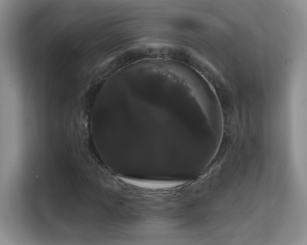 X0000113981013200910091313