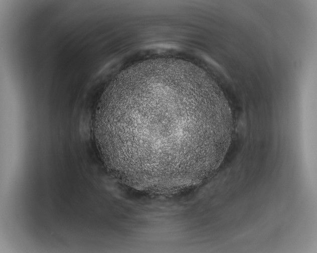 X0000113981014200910091313