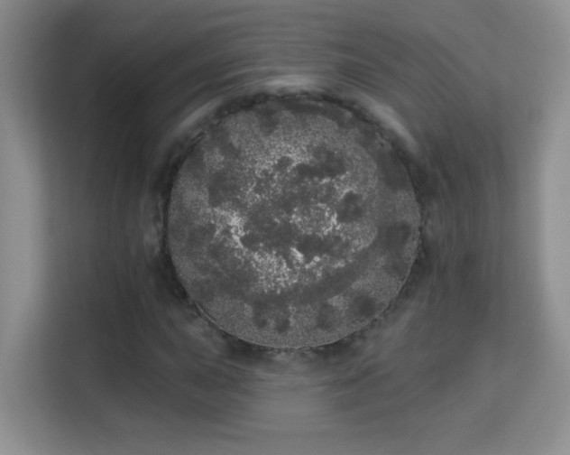 X0000113981015200910091313