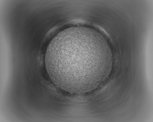 X0000113981016200910091313