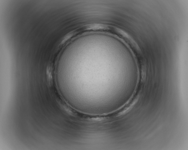 X0000113981017200910091313