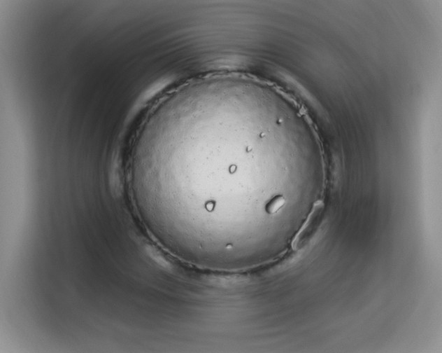 X0000113981018200910091313