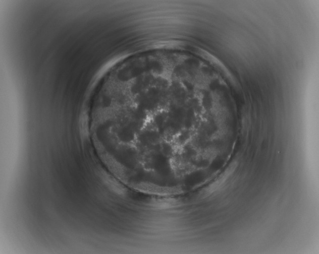 X0000113981019200910091313