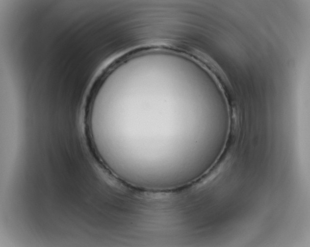 X0000113981020200910091313