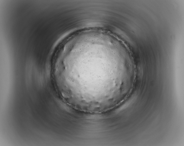 X0000113981021200910091313